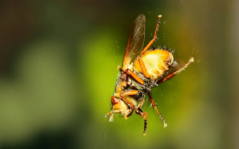 和男人相处，聪明的女人会“三不做”，蠢女人才会反着做