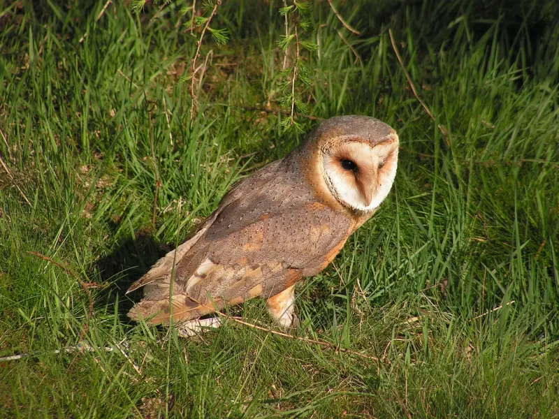 异性相处中，男人对你“动情”，才会有这些信号