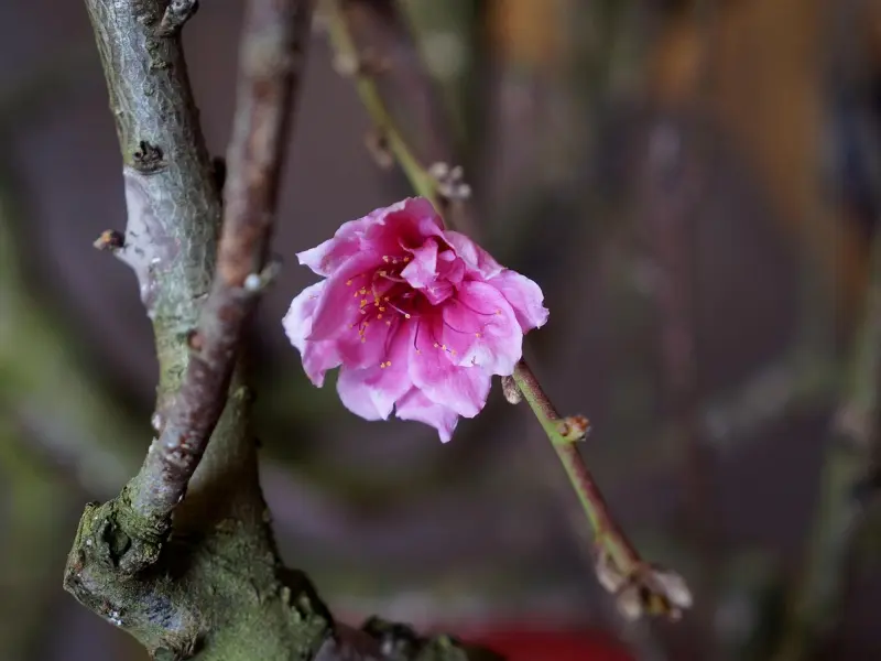 异性相处，男人在三个地方越“不老实”，女人越离不开你！