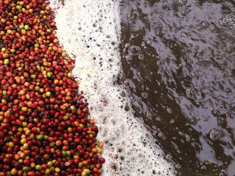 异性相处过程中，这些“禁忌”，不要碰！