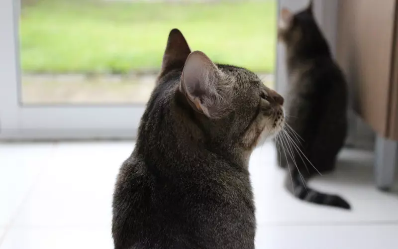 他提出分手，究竟是预谋还是突然？