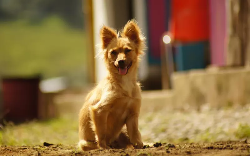 当我学会这件事后，我老公乖乖回家了！