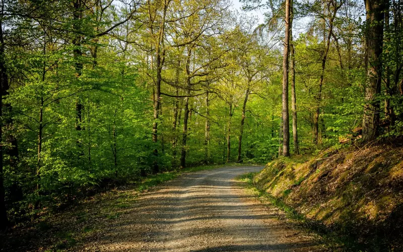 等睡在喜欢的人怀里时，我就不会再熬夜了！