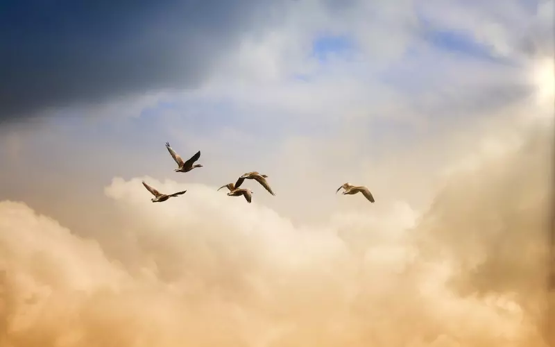 异性交往，哪怕感情再好，也不要随便做这些事，否则就是“越界