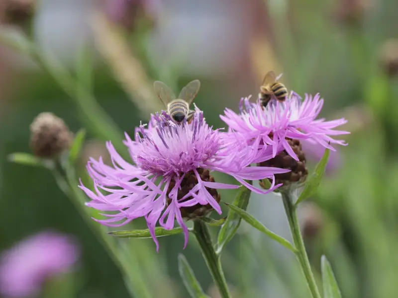 挽回前任时，大部分人总是做错一件事！