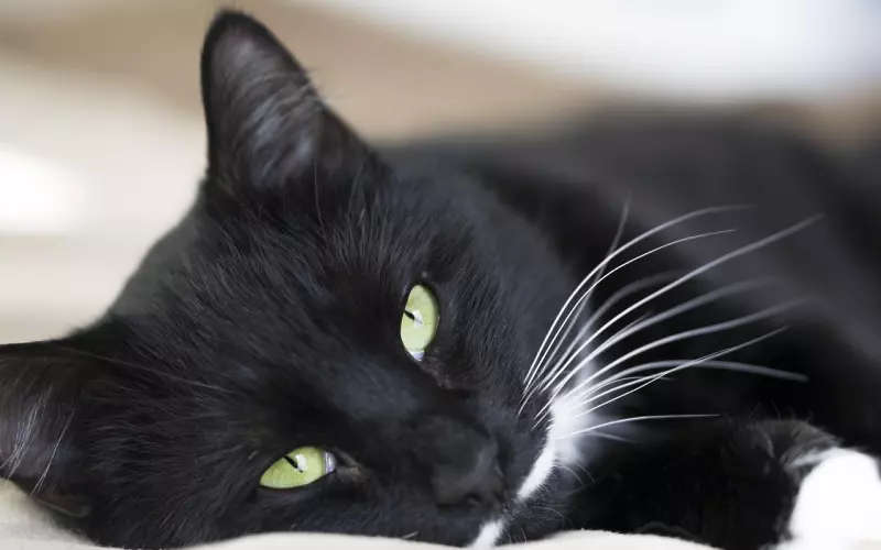 找老婆，一定要找手脚冰冷的人