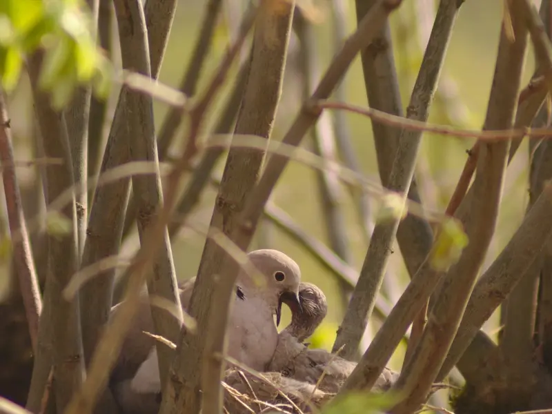 当爱情抵不过现实，我该如何挽回女友？