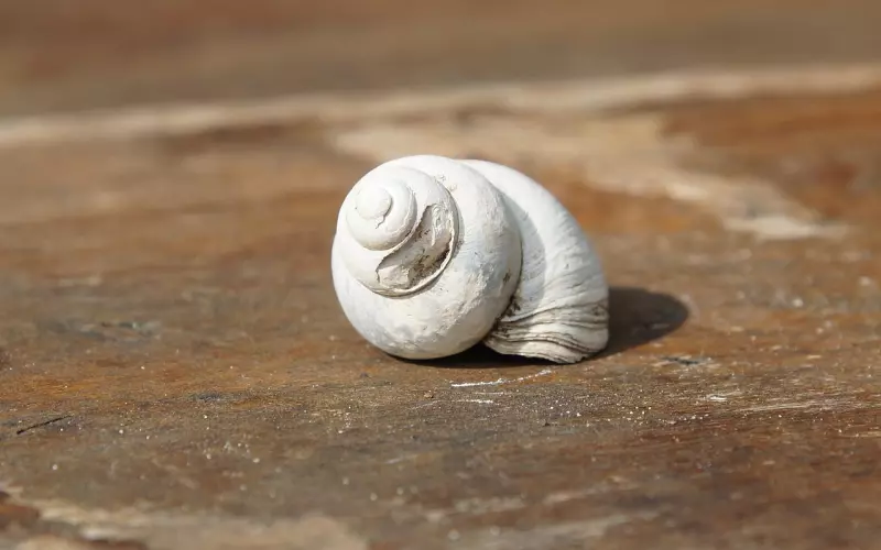 当爱在褪色，拿什么拯救破碎的婚姻？