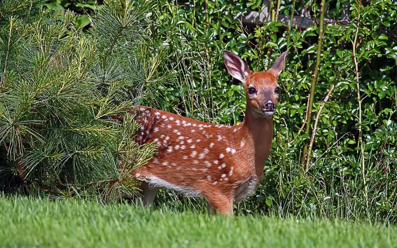 年迈的父母要离婚，作为子女的我们该持何种态度？