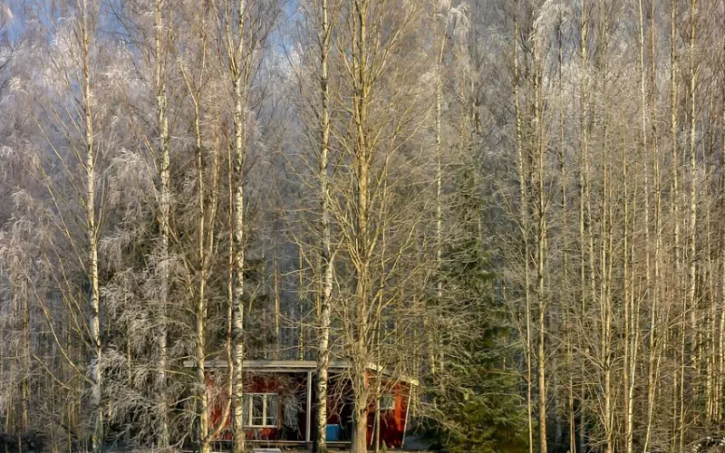 挽回时，你要怎样才能重新走进对方的心里