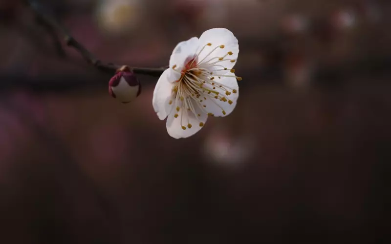 当挽回遇上嫉妒，女人怎样能为自己赢回尊严