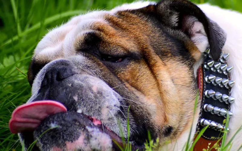 鸟累了，树知道；云累了，天知道；可是，我累了，谁知道？