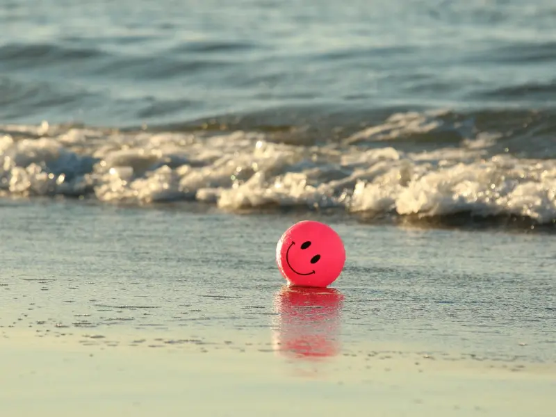 当女权婊们开始反击时，男人就一个字：干！