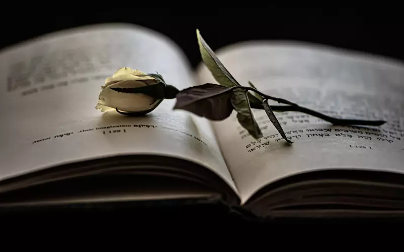 跟女友讲道理的时候 爱情并不是一个讲道理的事