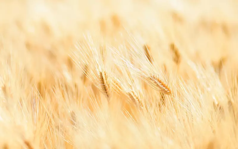 挽回中遇到独角戏的感情，这场双人舞怎么跳？你需要有这方面的思考