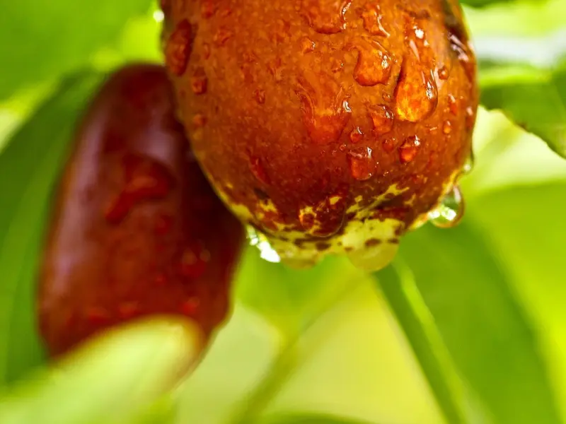 挽回时，这6句话千万别说