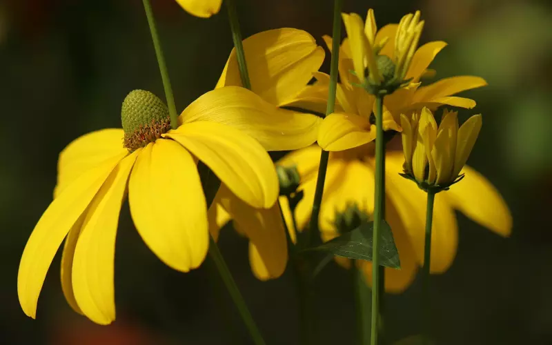 挽回时，遇到对方的红颜知己该怎么办？