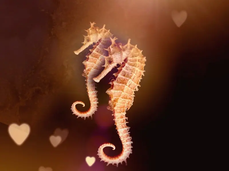 挽回时，要懂得利用对方的‘思维定势’和‘逆反心理’