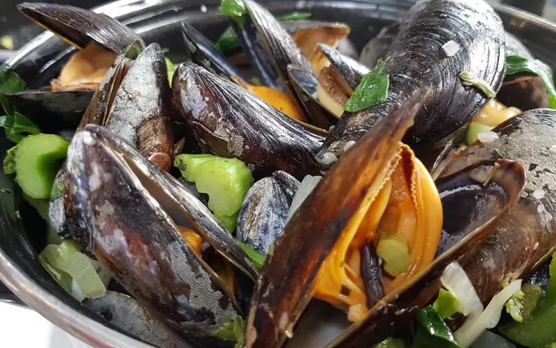 挽回前任时，请口下留情！