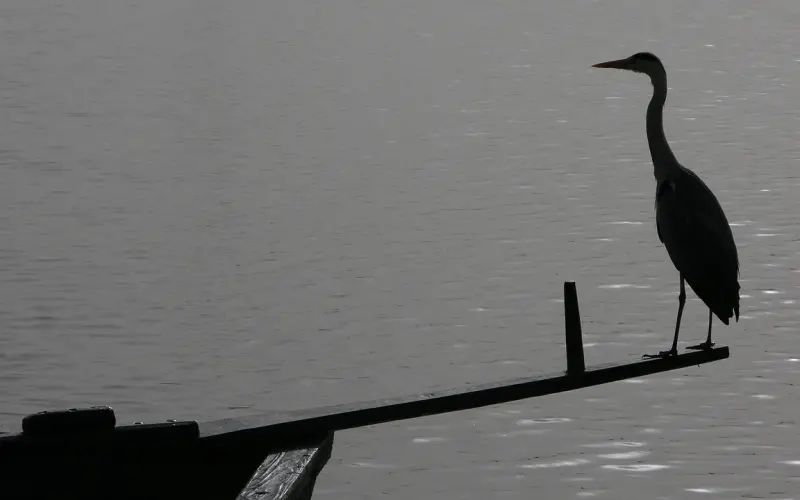 两个人在一起，有这种感觉才叫情