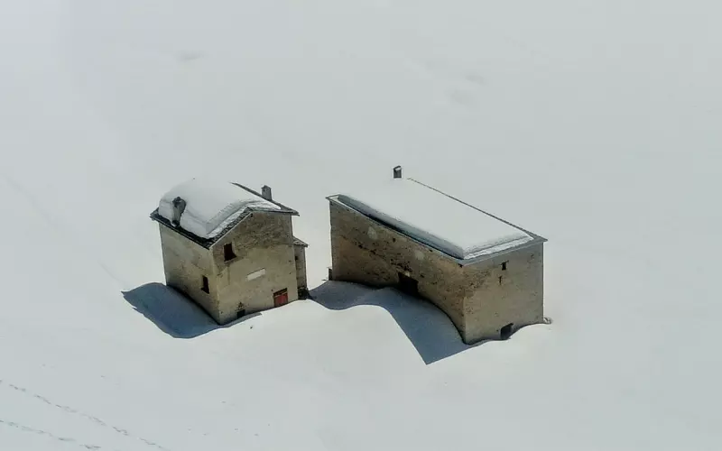 两个有家庭的人相爱，到底该何去何从？