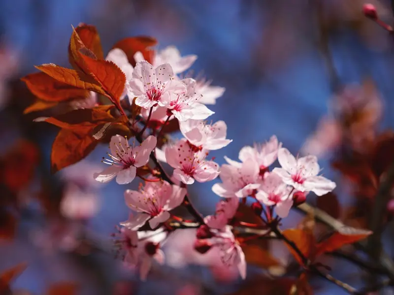 下次是哪次？以后有多久？