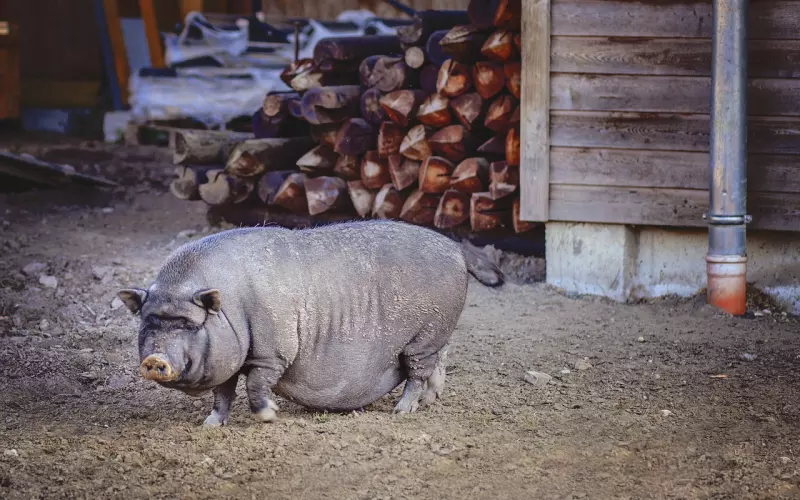 人活着，少说闲话！