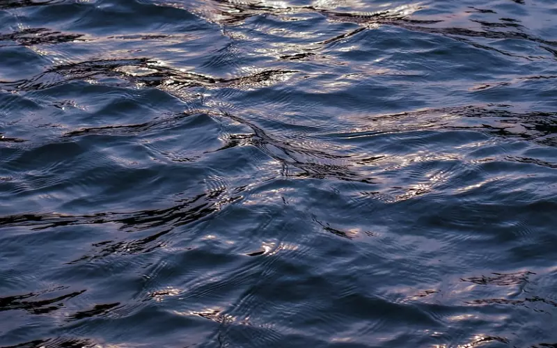 恋爱中，要不要查看爱人的手机？