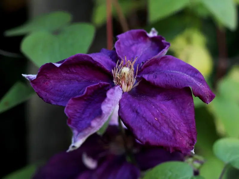 当你在挽回前任的时候，他的心里是这么想的！