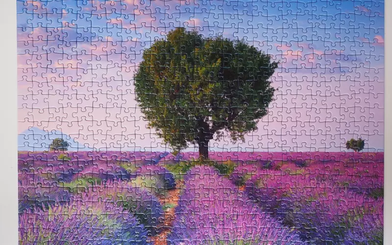 和女人在一起了，如何更好的相处呢？