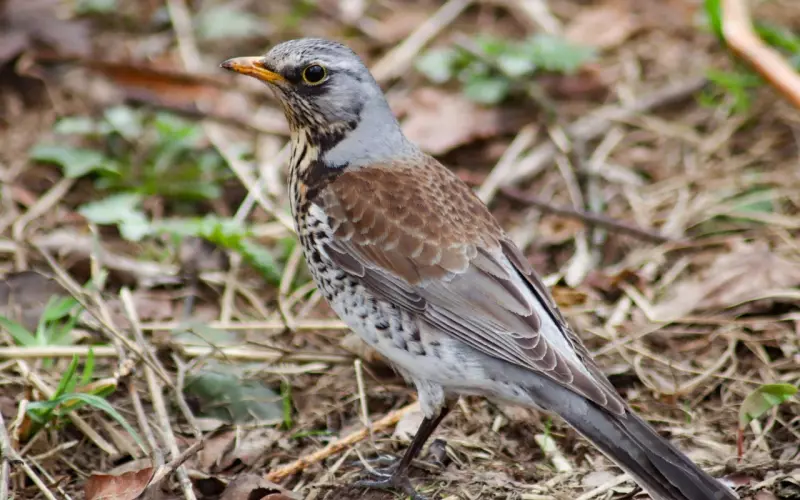 当你越来越沉默，越来越不想说...（深度好文）。