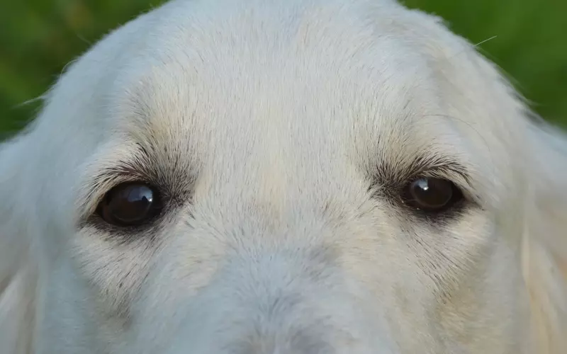 当违心的提了离婚，接下来该怎么办？