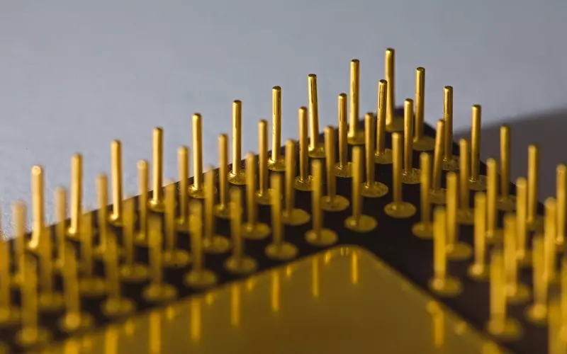 和我相处，请带上真诚！