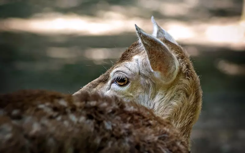 等老了，不讨儿女嫌，记住这10条。