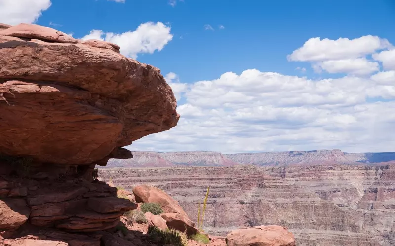 当碰到异性缘好的男友