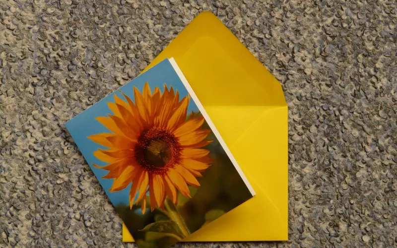 这样写挽回信，99%的人都挽回成功了！