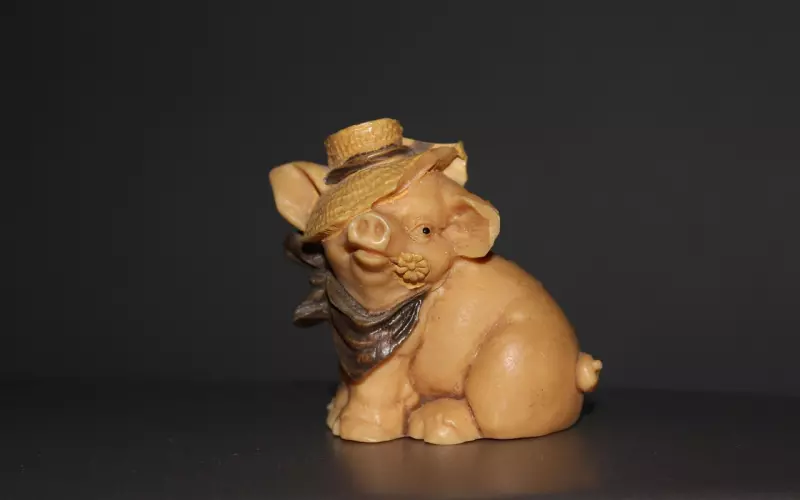 前任主动来找你是想“复合”还是“另有所图”？