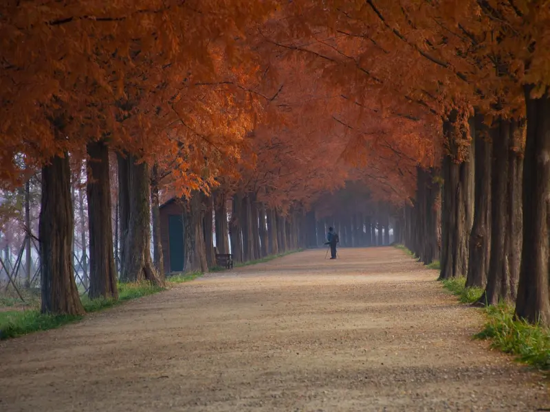 怦然心动时，情感咨询师教你在适当时机向喜欢的女生表白！