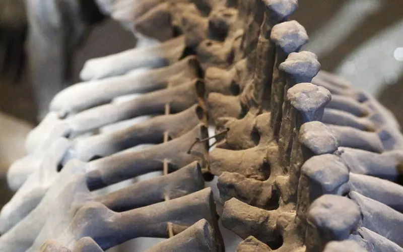 当感情陷入困境，4件事让他对你回心转意