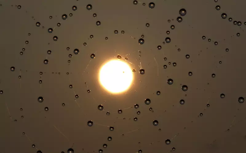 女人的七寸在哪里？男人抓住了才会征服她