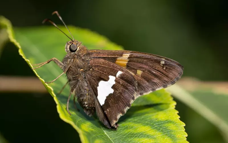 真性分手的男人回头点在哪里？看看这三点就知道了