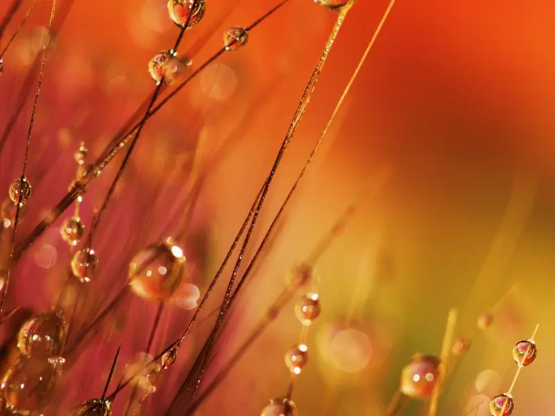 异性关系是否纯洁，微信上的表现骗不了人，有无“越界”一目了然