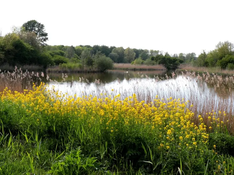 异地恋能不能长久关键看这几点