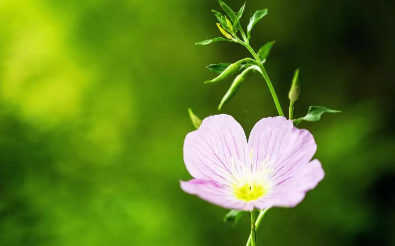 异地恋能否守得云开见月明，信任和坚定意志是十分重要的