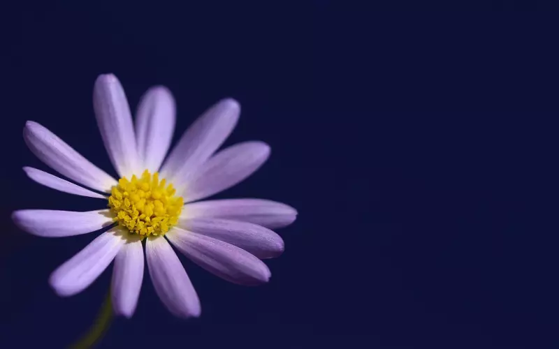 男人“花不花心”，和他接一次吻就一清二楚，假不了