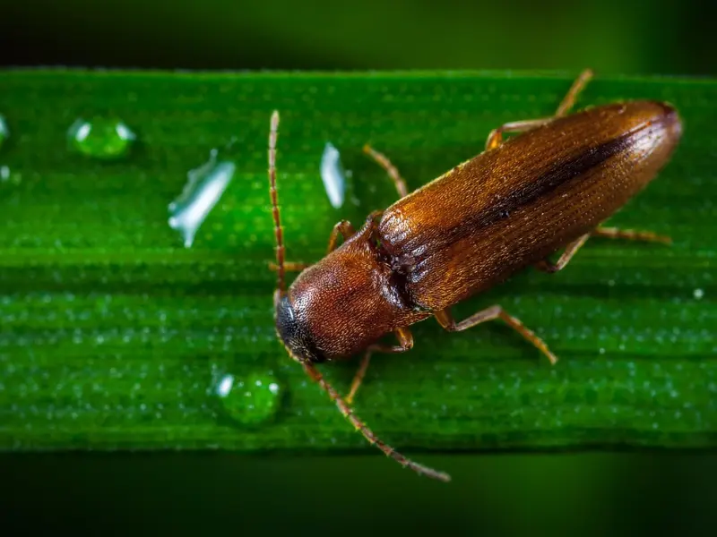 一个男人到底值不值得嫁，看他这5点有没有做到就知道了