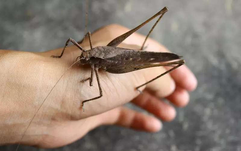 男人宠不宠你，看他微信的这些地方，就一目了然