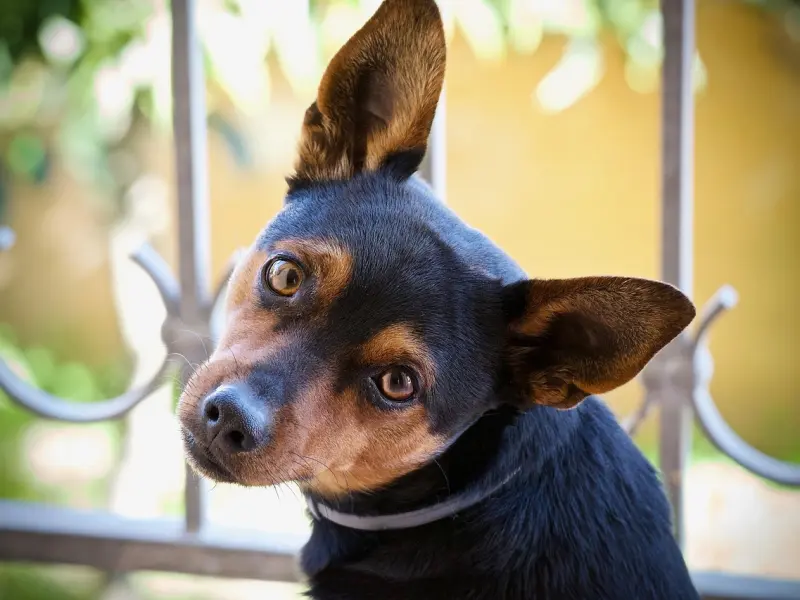 男人爱不爱你看看这六个表现