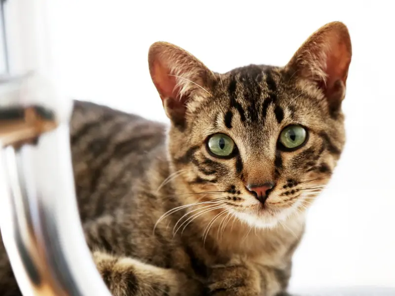 男人对你是爱还是喜欢，看这3点就一目了然