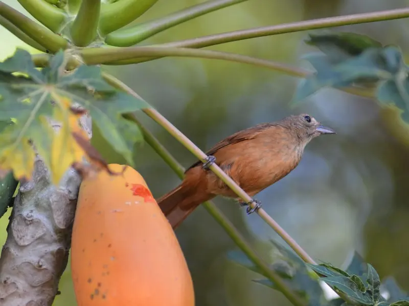 男人爱不爱你，看他怎么哄你就知道了